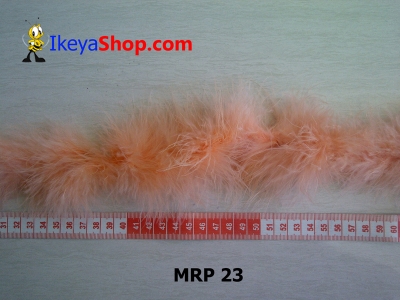 MRP 23  large2